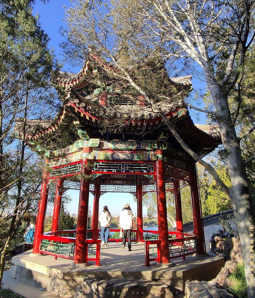 2023 11 PEKIN - PARC BEIHAI (25).jpg